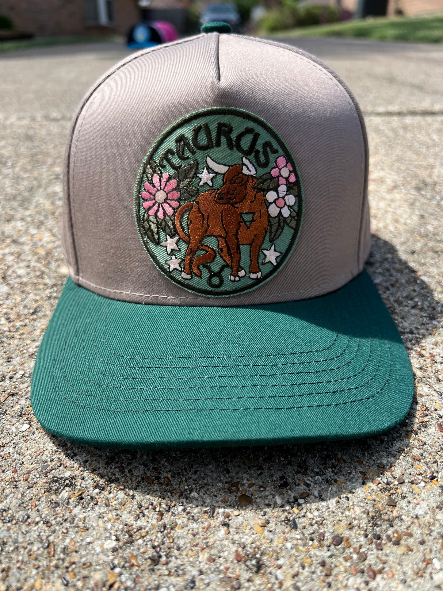 Taurus SnapBack hat